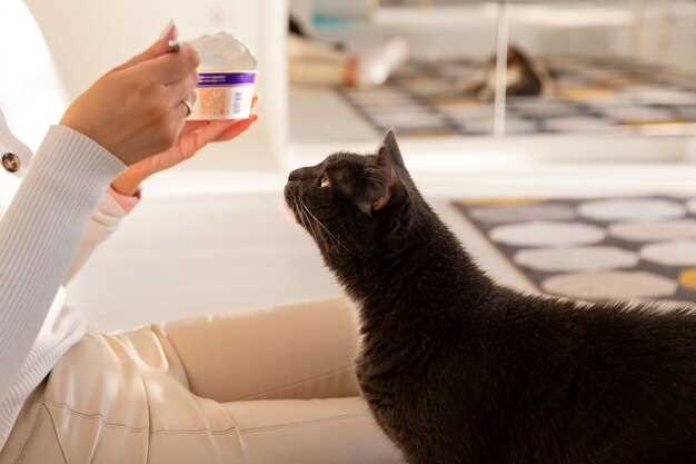 Buy prednisolone for cats safe anti-inflammatory steroid tablets fast delivery vet approved Buy prednisolone for cats safe anti-inflammatory steroid tablets fast delivery vet approved