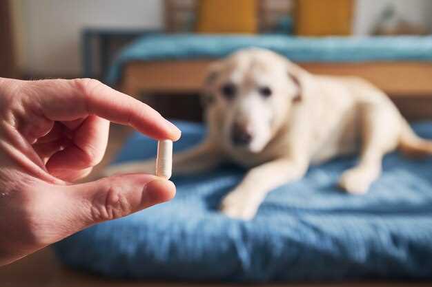 Furosemide dosage dogs chart weight heart failure renal dose loop diuretic vet guidance Furosemide dosage dogs chart weight heart failure renal dose loop diuretic vet guidance