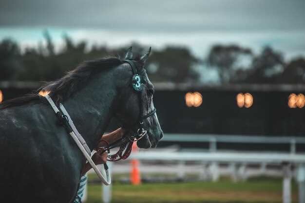 Trainers’ hack for next-day stakes horses
