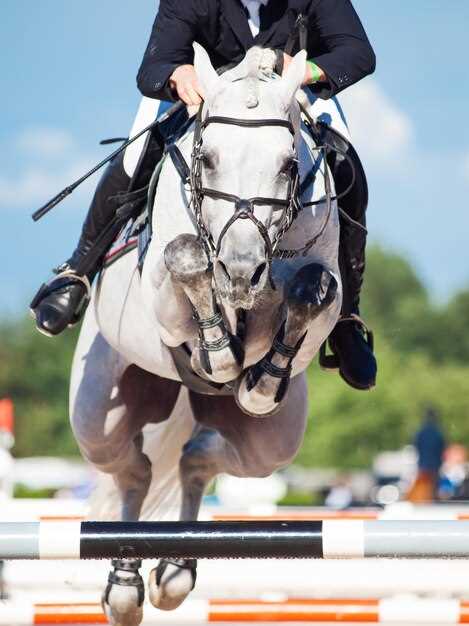From Kentucky to Dubai: How Customs Documents Change If You Fly a Horse Already Loaded With Lasix