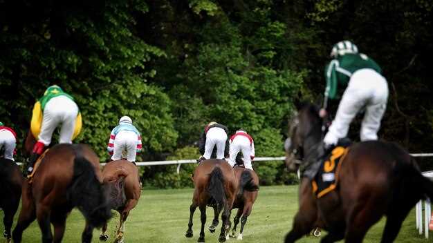 Lasix in Horse Racing: 7-Step Buyer’s Roadmap From Search to Shot