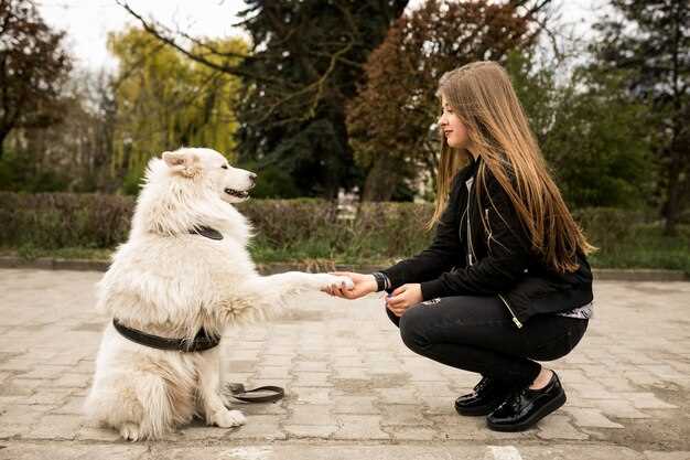 How much lasix can i give my dog safe dosage chart by weight vet guidance How much lasix can i give my dog safe dosage chart by weight vet guidance