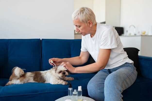Lasix 12 5 mg for dogs dosage safety side effects and veterinarian guidance Lasix 12 5 mg for dogs dosage safety side effects and veterinarian guidance