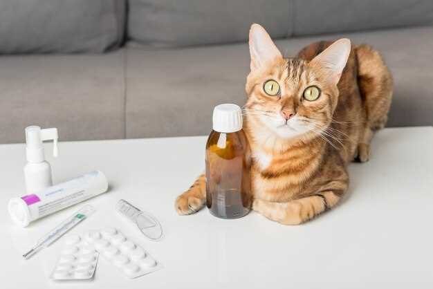 Lasix for cats dosage heart failure kidney disease side effects veterinary guide Lasix for cats dosage heart failure kidney disease side effects veterinary guide