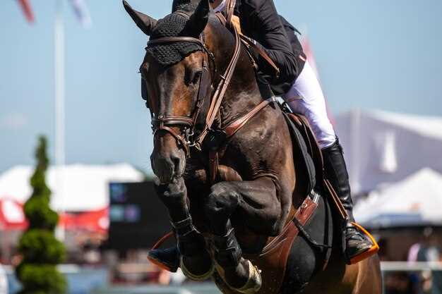 Lasix horse racing rules dosage controversy betting strategies welfare debates Lasix horse racing rules dosage controversy betting strategies welfare debates