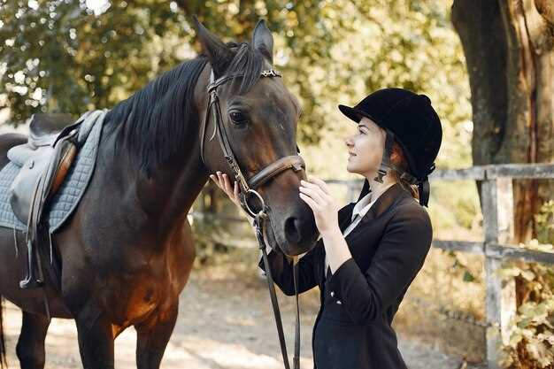 Lasix in horses dosage side effects regulations and performance impact explained Lasix in horses dosage side effects regulations and performance impact explained