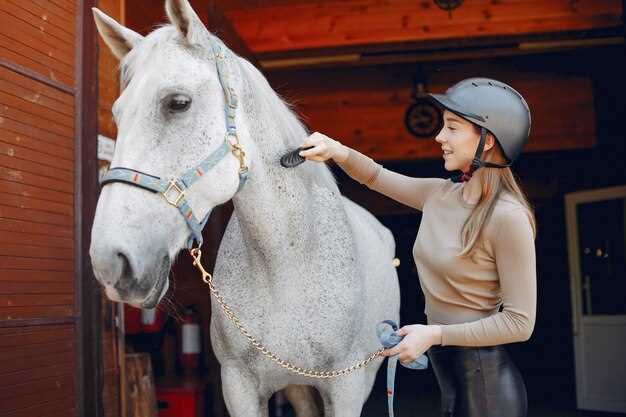 Lasix in racehorses performance regulation veterinary protocols and ethical debates Lasix in racehorses performance regulation veterinary protocols and ethical debates
