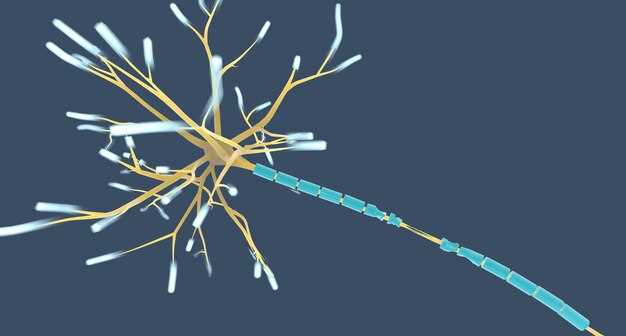 Can You Drink One Beer on Neurontin? A Pharmacist Crunches the Half-Life Numbers
