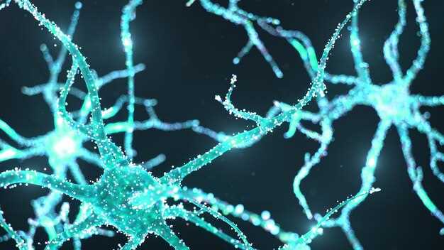 Neurontin generic affordable FDA-approved gabapentin for nerve pain and epilepsy control Neurontin generic affordable FDA-approved gabapentin for nerve pain and epilepsy control