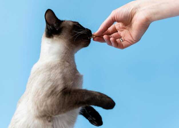 Prednisolone 5mg tablets for cats dosage uses side effects and vet guidance Prednisolone 5mg tablets for cats dosage uses side effects and vet guidance