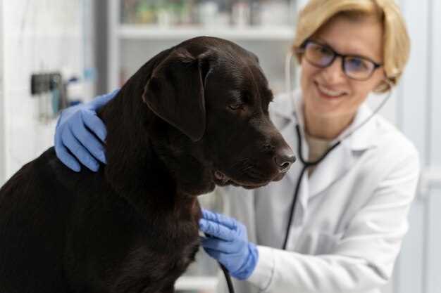 2. VetDose+ – the converter that thinks in tablets