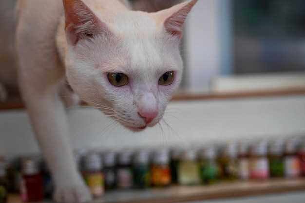 2. Plain Greek Yogurt Dot