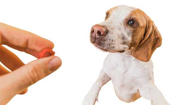 Prednisolone to Prednisone Switch: 5 mg ≠ 5 mg–The Simple Ratio That Stops Overdosing in a Single Scoop