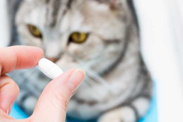 Crush or Conceal? 7 Sneaky Ways to Feed a 5 mg Prednisolone Tablet Without a Scratch