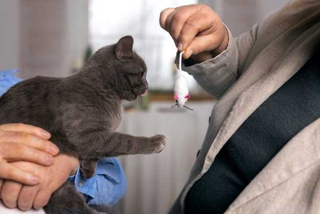 2. 3 a.m. Meow-athon