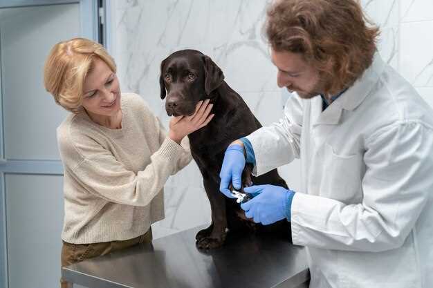 Prednisolone for dogs 20 mg dosage chart vet approved uses side effects and safety tips Prednisolone for dogs 20 mg dosage chart vet approved uses side effects and safety tips