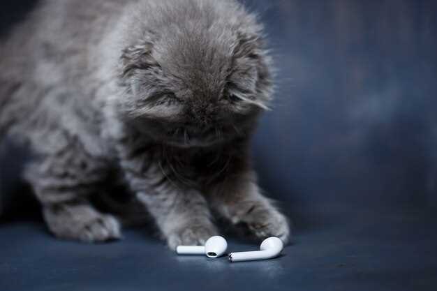 Liquid vs. Tablet Cost Breakdown: Save $192 a Year Without Sacrificing a Single Purr